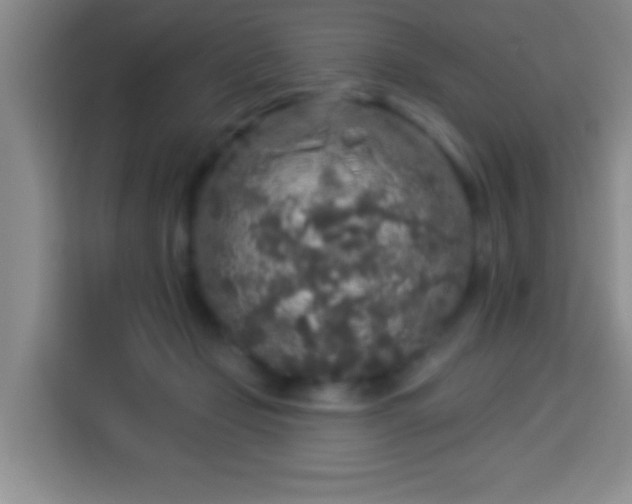 X0000113960365200910021530