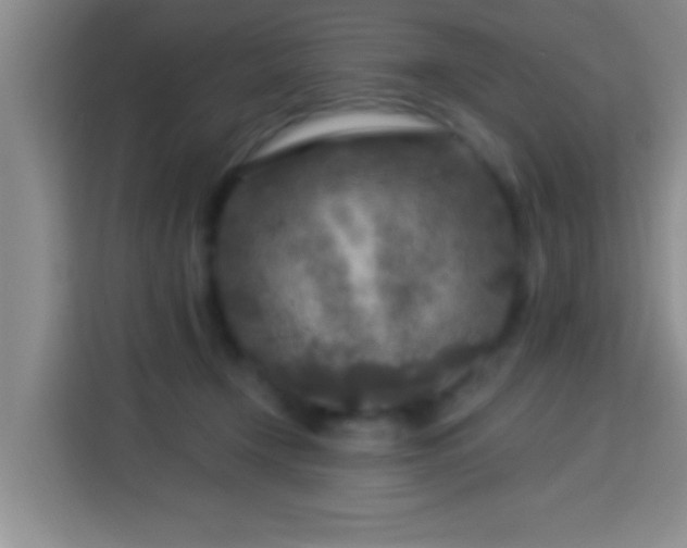 X0000113960366200910021530