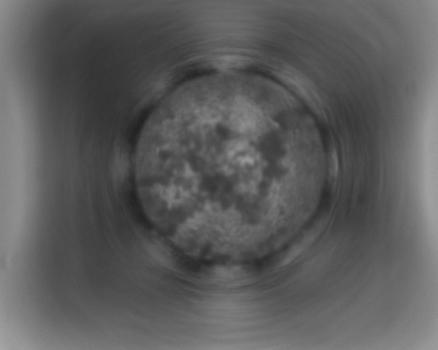 X0000113960367200910021530