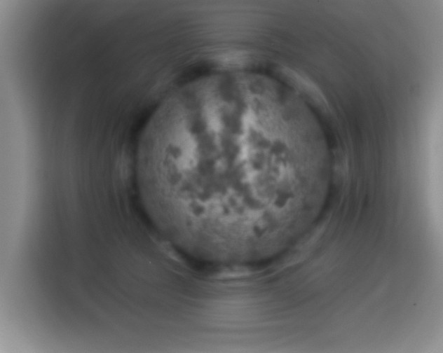 X0000113960369200910021530