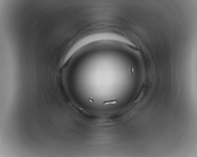 X0000113960372200910021530