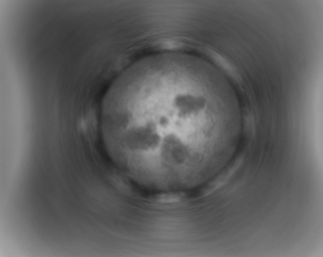 X0000113960373200910021530