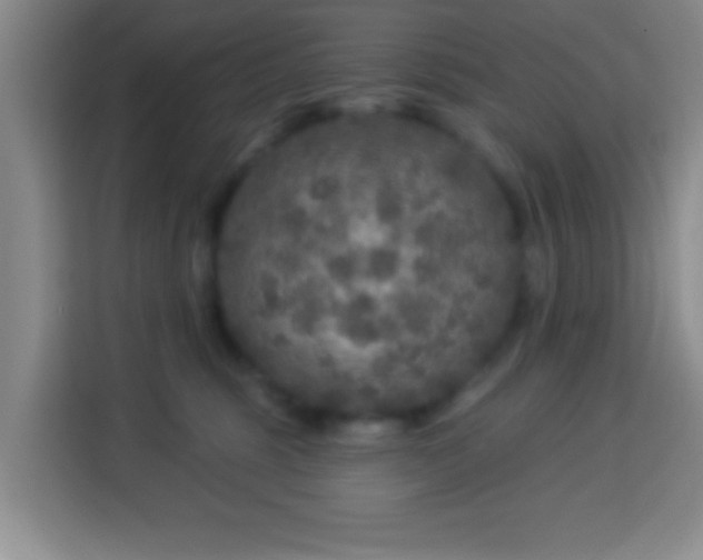 X0000113960375200910021530