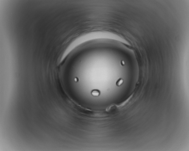 X0000113960376200910021530