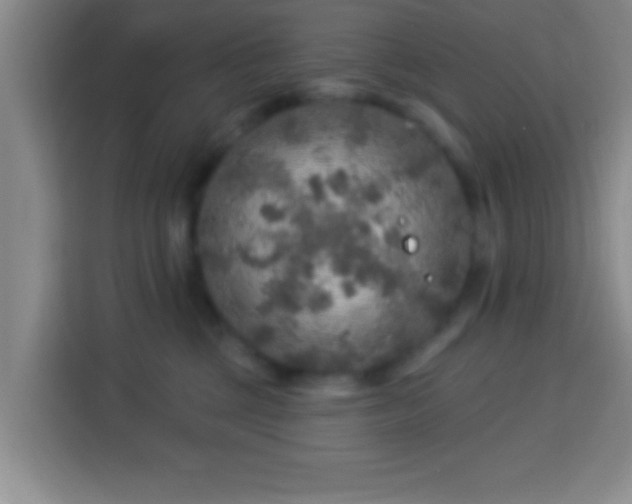 X0000113960377200910021530