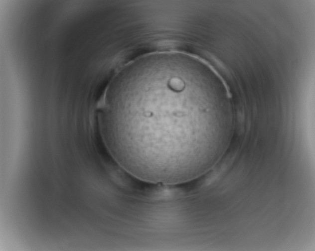 X0000113960379200910021530