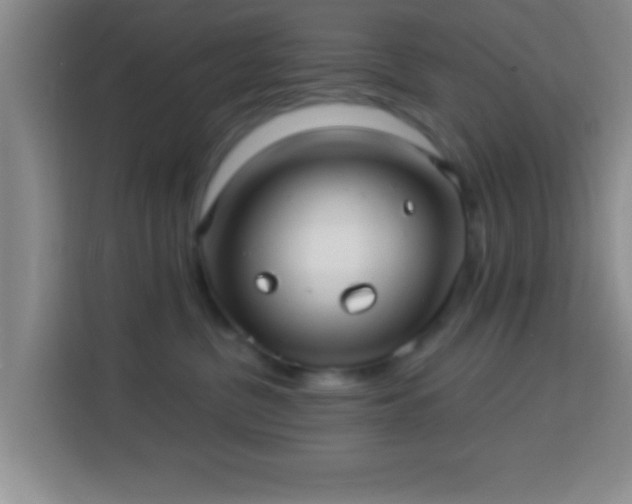 X0000113960380200910021530