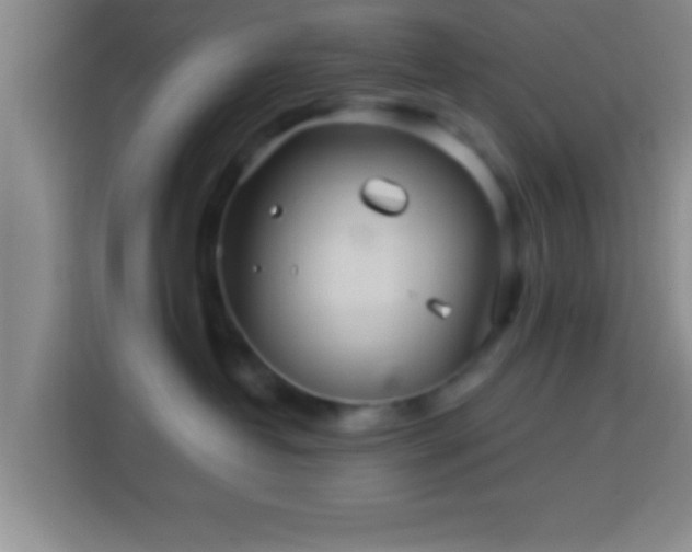 X0000113960382200910021531