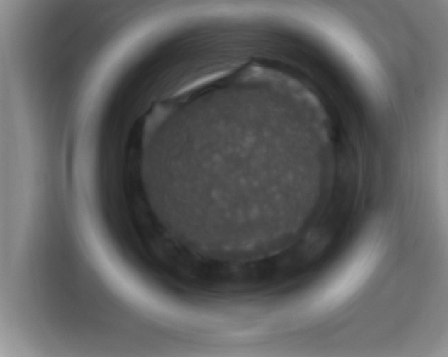 X0000113960383200910021531