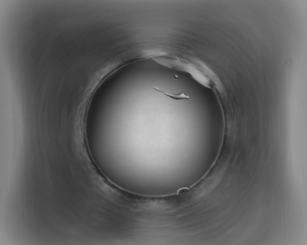 X0000113960385200910021530