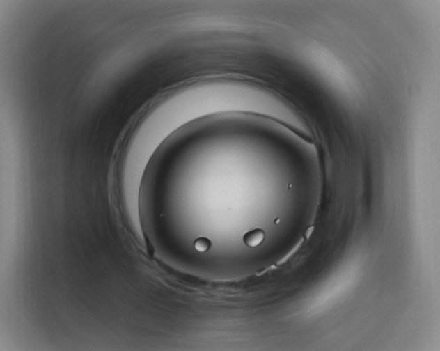 X0000113960387200910021530