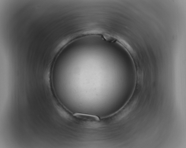 X0000113960389200910021530