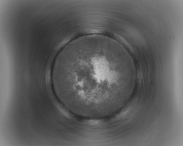 X0000113960394200910021530