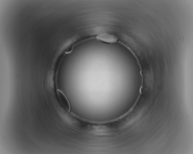 X0000113960395200910021530