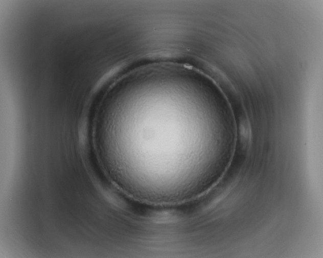 X0000113960396200910021530