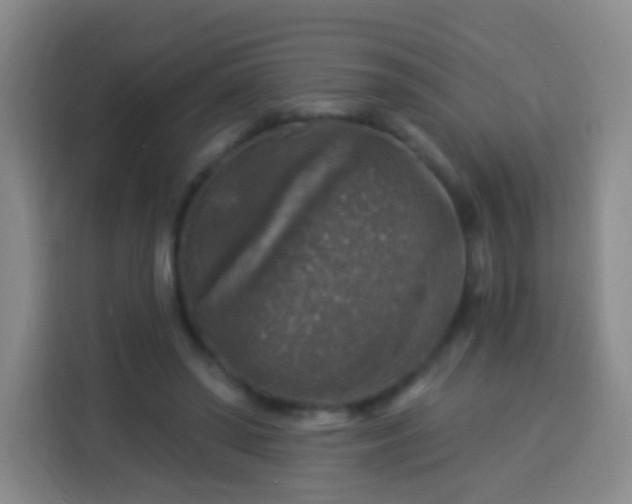 X0000113960398200910021530