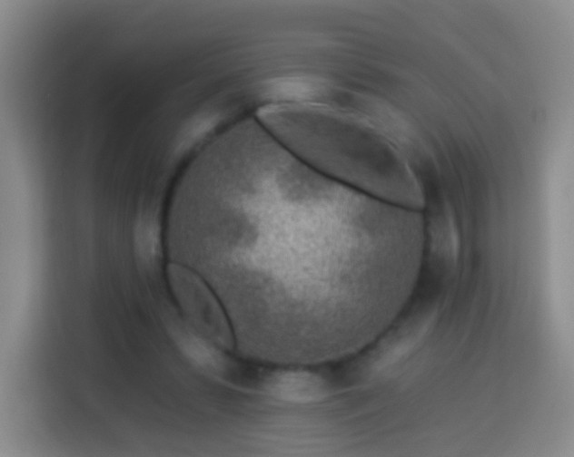 X0000113960399200910021530