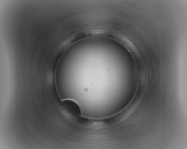 X0000113960401200910021530