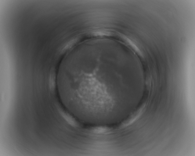 X0000113960402200910021530