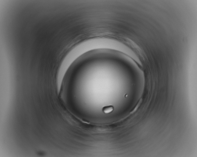 X0000113960405200910021530