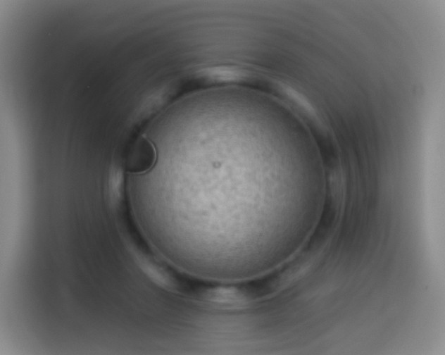 X0000113960406200910021530