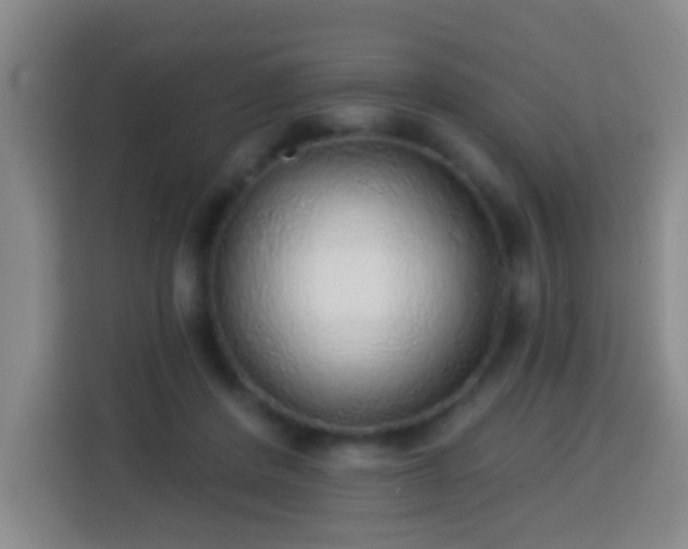 X0000113960408200910021530