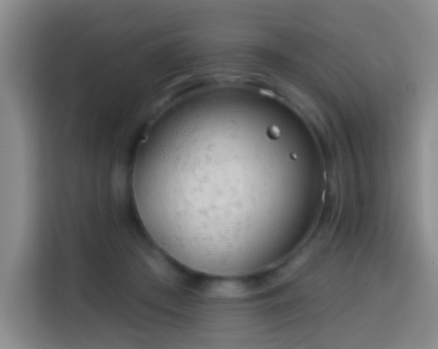 X0000113960409200910021530