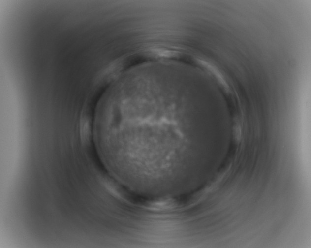 X0000113960410200910021530