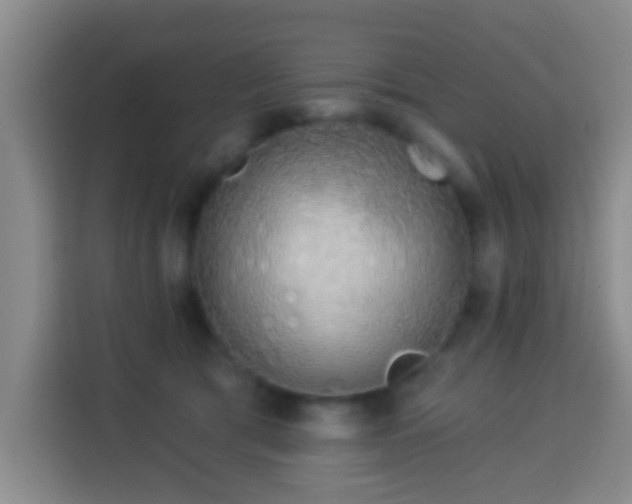 X0000113960417200910021529