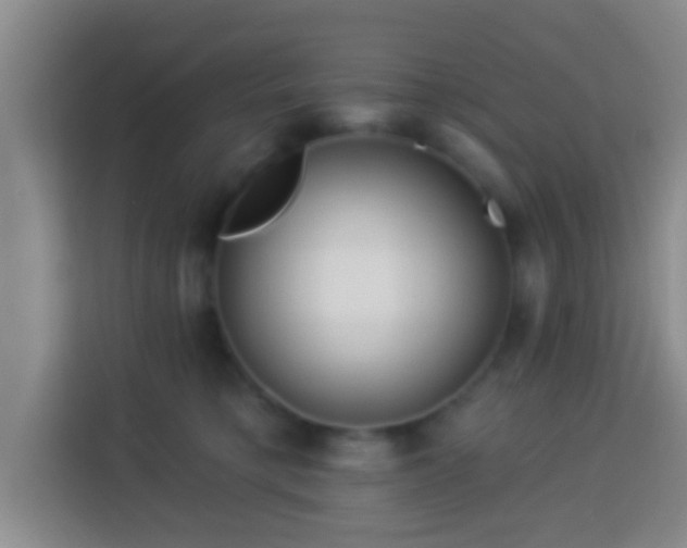 X0000113960421200910021529