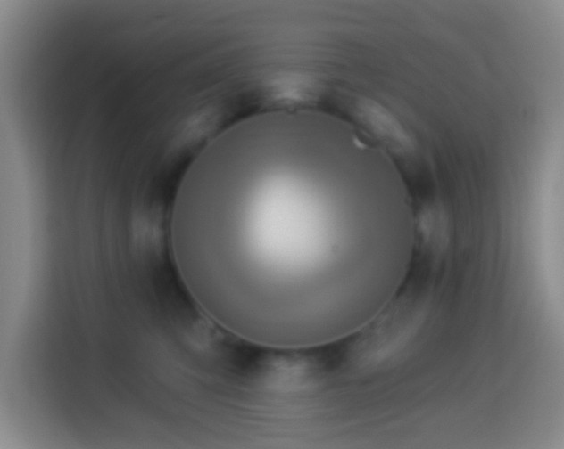 X0000113960423200910021529