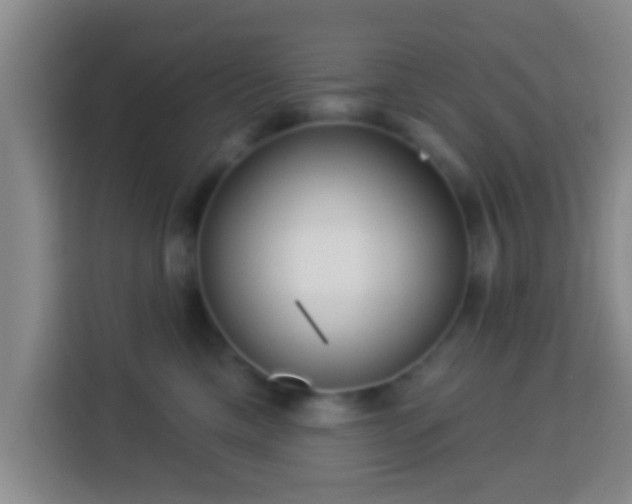 X0000113960425200910021529