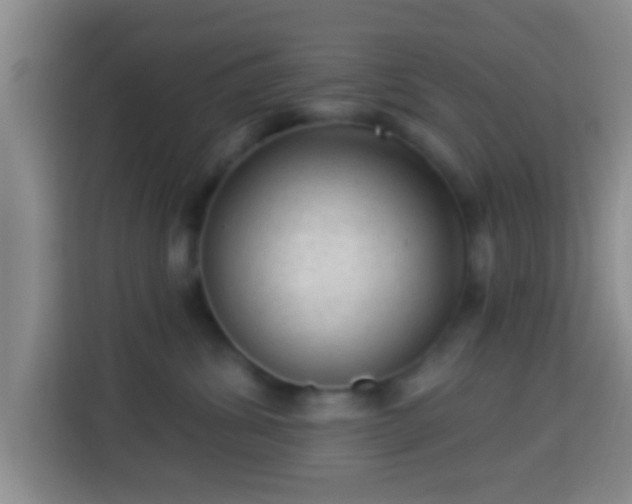 X0000113960428200910021529