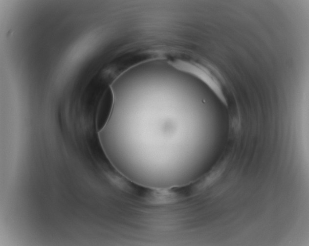 X0000113960429200910021529