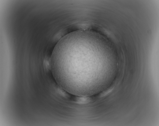 X0000113960432200910021529