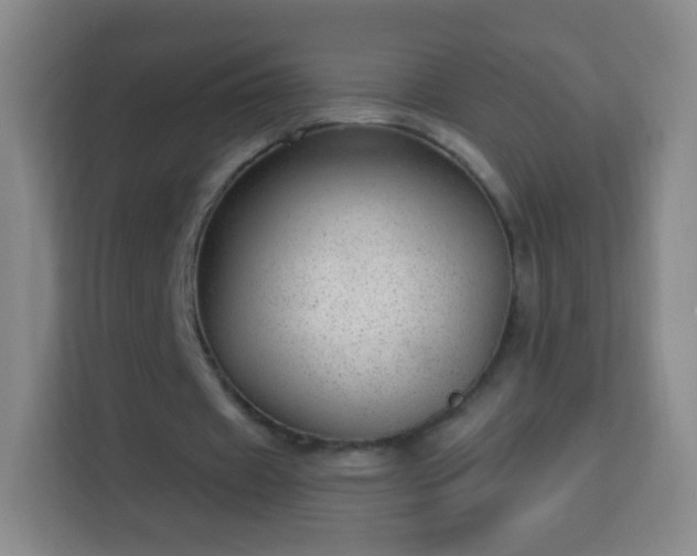 X0000113960433200910021529