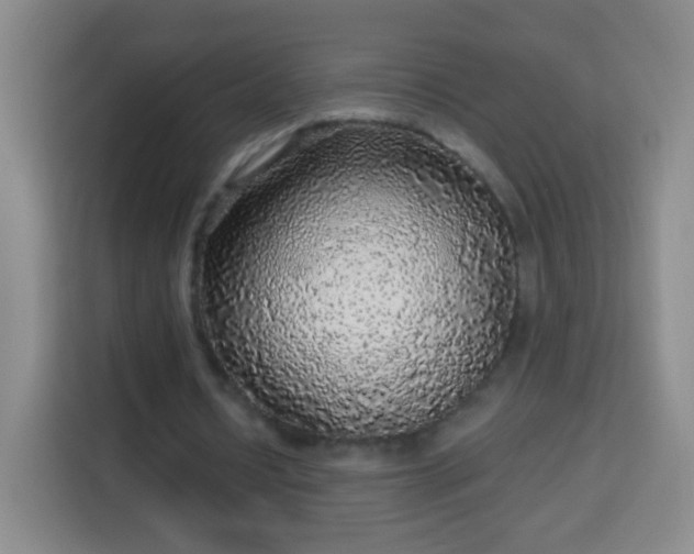 X0000113960434200910021529