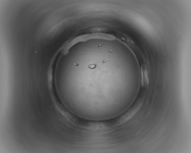 X0000113960435200910021529