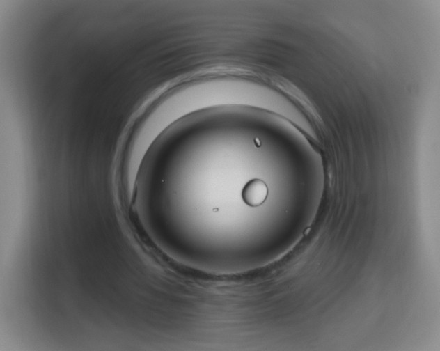 X0000113960436200910021529