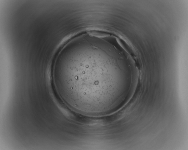 X0000113960438200910021529