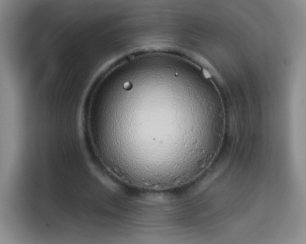 X0000113960439200910021529