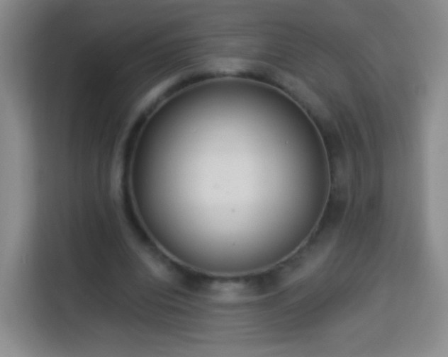 X0000113960440200910021529