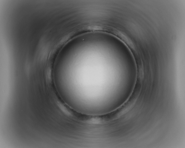 X0000113960441200910021529