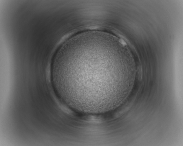 X0000113960442200910021529