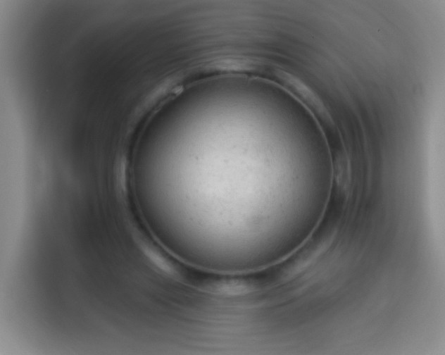 X0000113960445200910021529