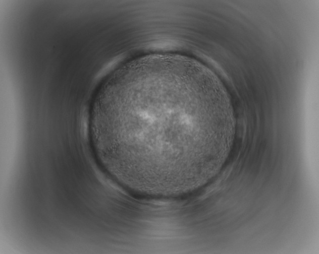 X0000113960446200910021529