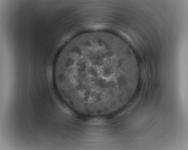 X0000113960447200910021529