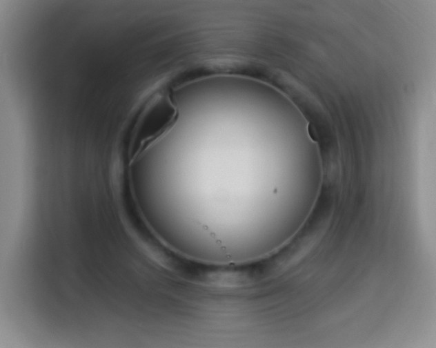 X0000113960448200910021529