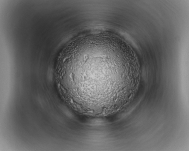 X0000113960449200910021529