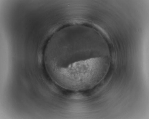 X0000113960451200910021529